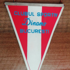 M3 C7 - Tematica sport - fotbal - Clubul Dinamo Bucuresti