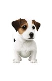Sticker decorativ Jack Russell Terrier, Maro, 85 cm, 5582ST