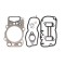 Kit garnituri diesel technic Scania