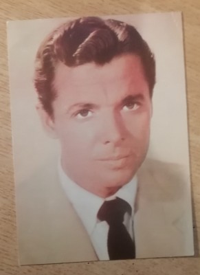 QW28 - Artisti straini 93 - Dik Powel foto
