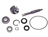 Kit reparatie pompa apa scuter Honda SH 125cc / 150cc, China