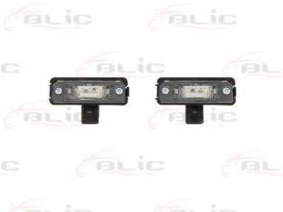 Iluminare numar de circulatie VW GOLF IV (1J1) (1997 - 2005) BLIC 5402-053-12-910 foto