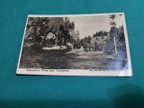 DRUM SPRE SCĂRIȘOARA, FOTO BACH ALB A IULIA *1929 * NECIRCULATĂ