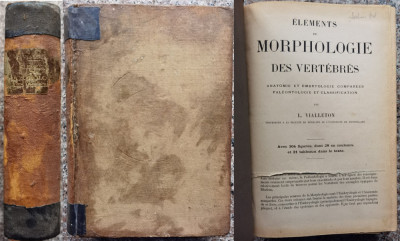 Elements De Morphologie Des Vertebres - L. Vialleton ,556614 foto