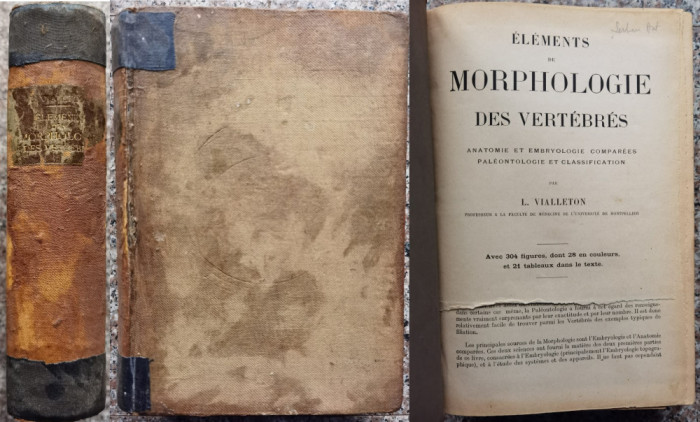 Elements De Morphologie Des Vertebres - L. Vialleton ,556614