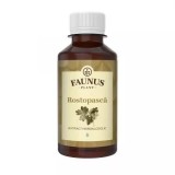 TINCTURA ROSTOPASCA 200ML
