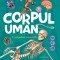 Descopera - Corpul uman PlayLearn Toys