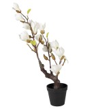 Cumpara ieftin Magnolie alba artificiala in ghiveci 16x14x60 cm