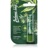 Regina Cannabis balsam de buze 4.5 g