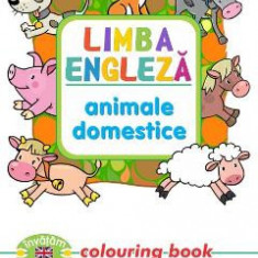 Limba engleza: Animale domestice (Colouring Book)