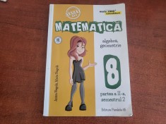 Matematica.Algebra,geometrie cls a VIII a,partea a II a,sem.2- Anton Negrila