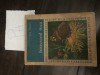 Ion Nemes - Insectarul meu Ph