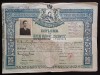 A3168N Diplomă de bacalaureat Nicolae Liu, editor, bibliotecar, paleograf, autor, dată la Craiova, Liceul Frații Buzești, 1945