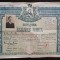 A3168N Diplomă de bacalaureat Nicolae Liu, editor, bibliotecar, paleograf, autor, dată la Craiova, Liceul Frații Buzești, 1945