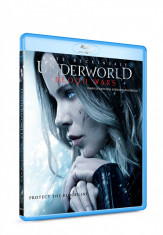 Lumea de dincolo: Razboaie sangeroase / Underworld: Blood Wars - BLU-RAY Mania Film foto