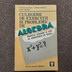 Culegere de algebra pt clasele V-VIII si admitere in liceu de Petruta Gazdaru