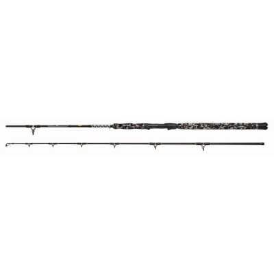 LANSETA WFT BIG CAT SPIN CAT 2,70M, 20-190G foto