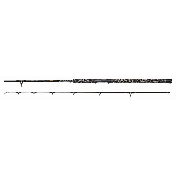 LANSETA WFT BIG CAT SPIN CAT 2,70M, 20-190G