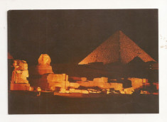 FA30-Carte Postala- EGIPT - Giza, Pyramid of Giza, necirculata foto