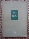 Cezar Petrescu - Horia Stancu