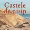 Castele de nisip