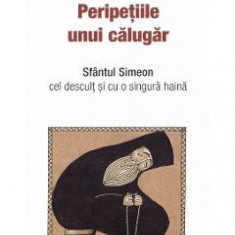 Peripetiile unui calugar - Arhimandrit Vasilios Bacoianis