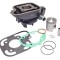 Set motor Peugeot Jet Force - Jet Force C-Tech (carburator) - TSDI (injectie) - Ludix 10 - 12 Blaster 2T LC 50cc D.40 mm bolt