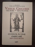 CUVINTE PUTINE OARECARE DIN CELE MULTE - SF. VASILE CEL MARE SI SF. GRIGORIE BOGOSLOVUL