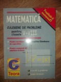 Matematica. Culegere de probleme pentru clasele 5-8 - Dumitru Savulescu