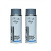 Vopsea Spray Brilliante Gri Argintiu RAL 7001, 2 x 400ml