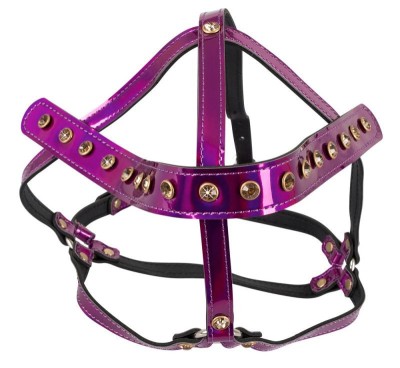 Ham reglabil pentru cap Head Harness foto
