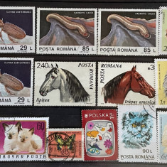 Lot de 14 timbre tematica fauna 3