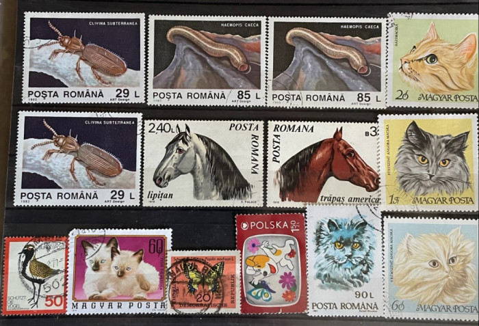 Lot de 14 timbre tematica fauna 3