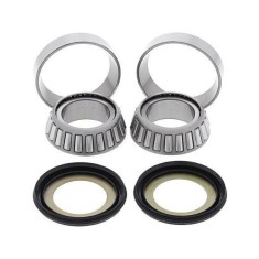 KIT RULMENTI DE JUG FURCA ALL BALLS RACING AB22-1024