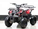 ATV KXD 110