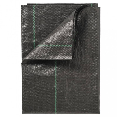 Nature Folie antiburuieni pentru sol, negru, 2x10 m foto