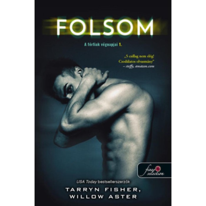 Folsom - A f&eacute;rfiak v&eacute;gnapjai 1. - Tarryn Fisher