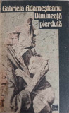 DIMINEATA PIERDUTA-GABRIELA ADAMESTEANU-336548