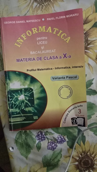 George Daniel Mateescu Pavel Florin Moraru - Informatica Manual clasa X Pascal