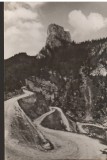 CPIB 22619 - CARTE POSTAL - CHEILE BICAZULUI. SERPENTINA, RPR, NECIRCULATA