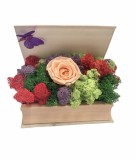 Aranjament floral personalizabil in carte cu licheni stabilizati si trandafir criogenat, Eventissimi, Eventissimi&reg;