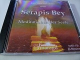 Serapis Bey -Karmische Reinigung - 211