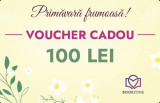 Voucher Cadou 100 Lei