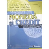 MONEDA SI CREDIT-VASILE TURLIUC, VASILE COCRIS, ANGELA ROMAN, OVIDIU STOICA, VALERIU DORNESCU, DAN CHIRLESA-222115