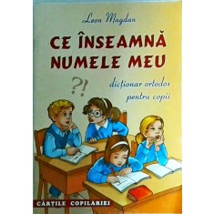 Leon Magdan - Ce inseamna numele meu? Dictionar ortodox pentru copii