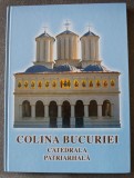 Colina Bucuriei: vol. 1 Catedrala Patriarhală (2008)