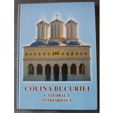 Colina Bucuriei: vol. 1 Catedrala Patriarhală (2008)