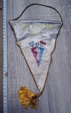 Cumpara ieftin FANION - FEDERATIA ROMANA DE BOX FRB / RSR