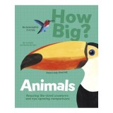 How Big? Animals Amazing Life-Sized Creatures and Eye-Opening Comparisons
