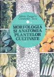 MORFOLOGIA SI ANATOMIA PLANTELOR CULTIVATE-VALERIU ZANOSCHI, CONSTANTIN TOMA-281059